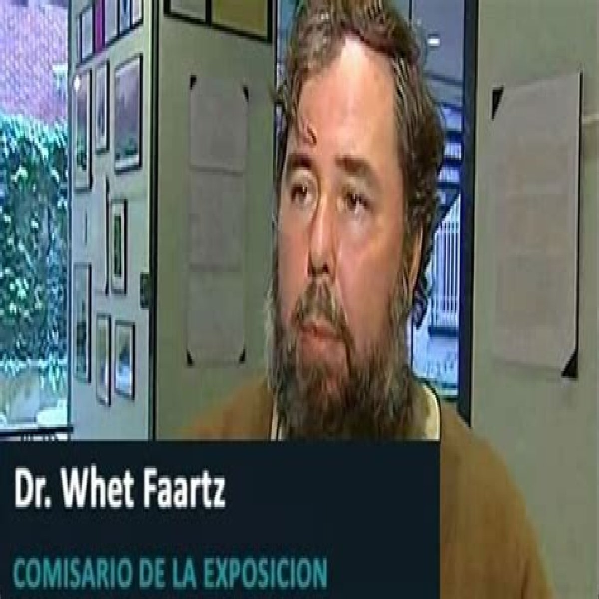 HTML